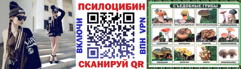hydra ССЫЛКА  Снежинск  Галлюциногенные грибы Psilocybe 