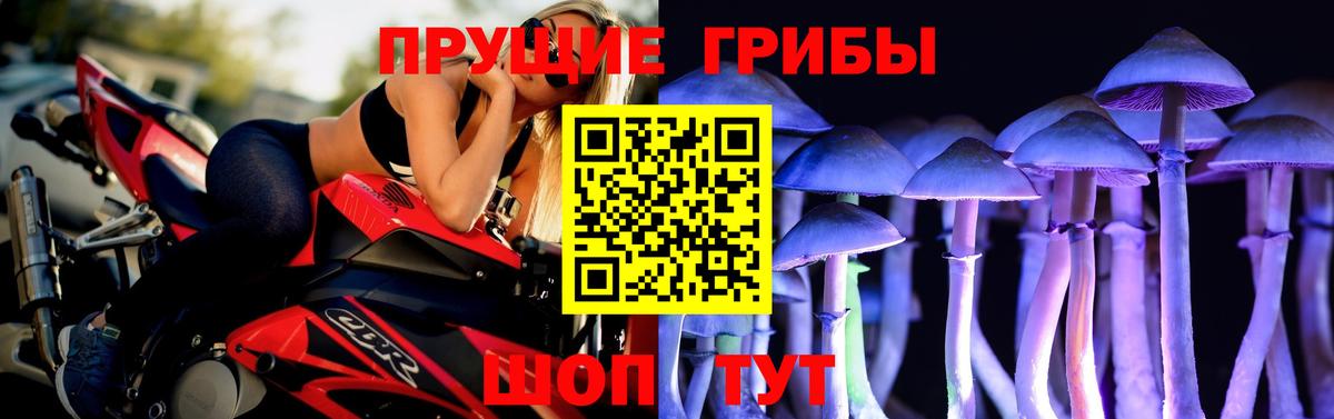 Галлюциногенные грибы Psilocybe Снежинск